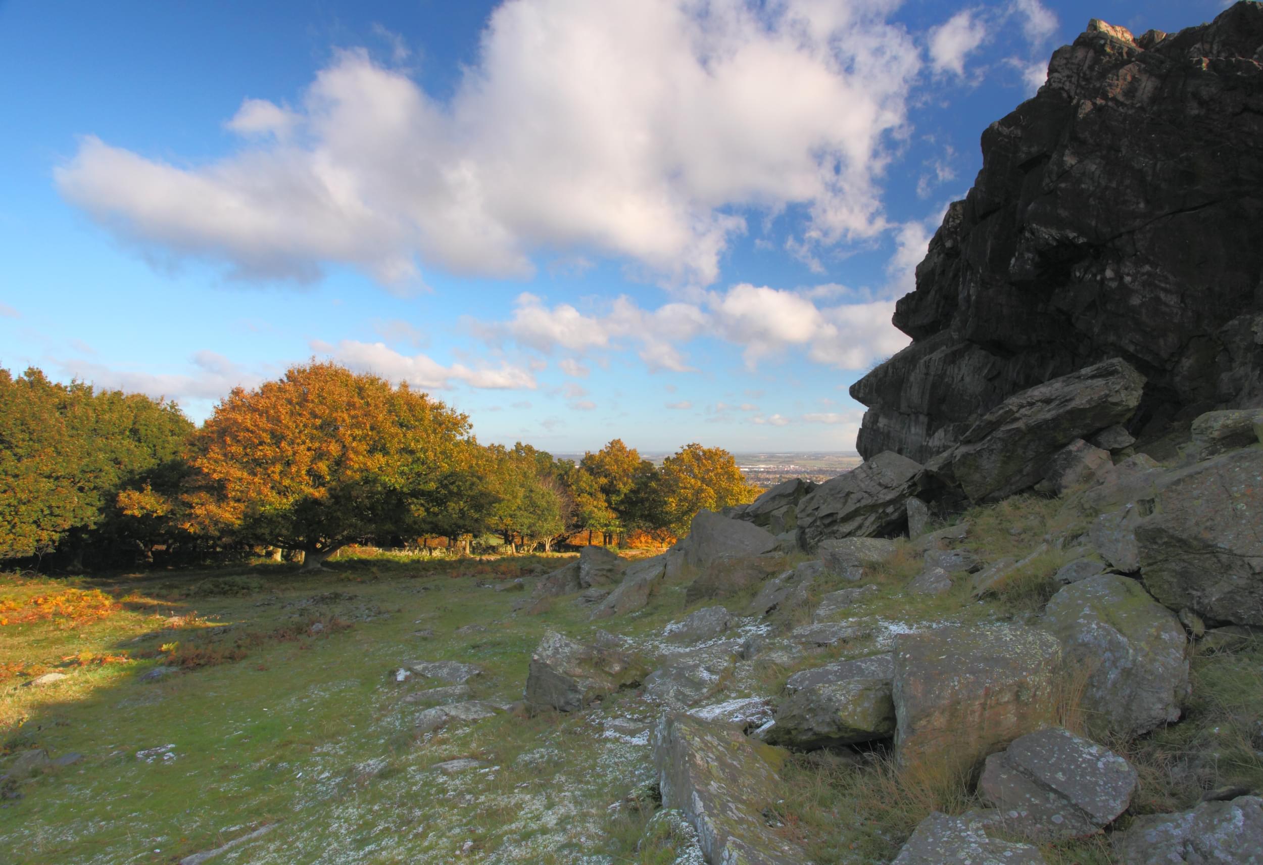 Beacon Hill Country Park | National Forest